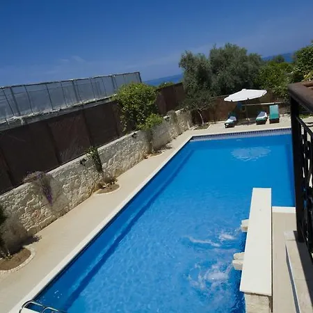 Constantinos ארגאקה