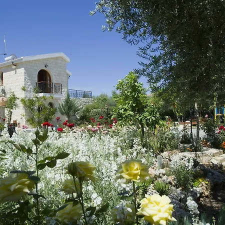 Villa Constantinos *